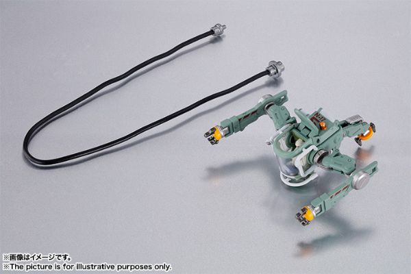 FORMANIA EX 沙扎比