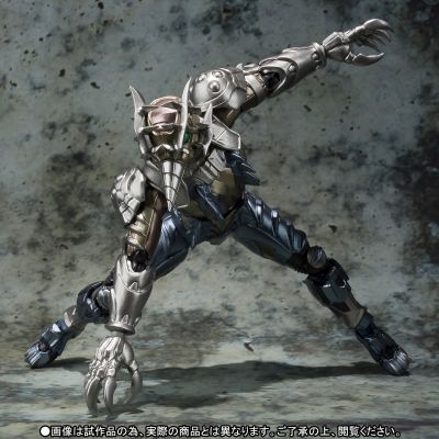 S.H.Figuarts    鼹种亚马逊