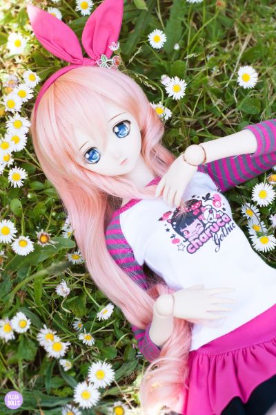 迷你黏土人 クラリス 爱丽丝 Reunion 