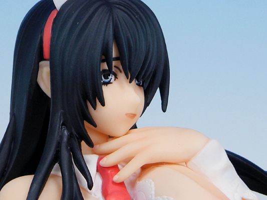 ちちのえ＋（ぷらす） Cover Girl Black Hair Ver.