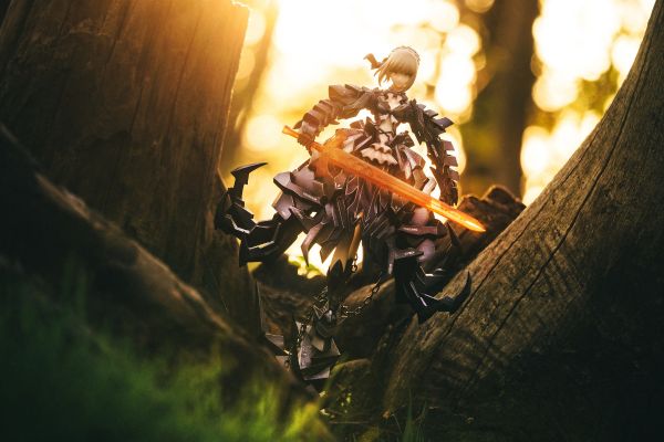 命运之夜 阿尔托莉雅 Alter huke 联名套装