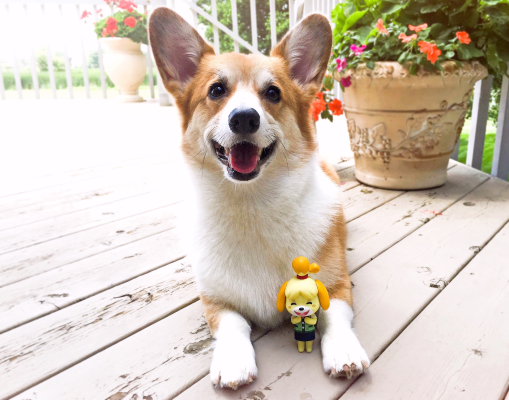 粘土人#327 西施惠