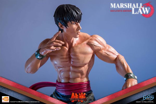 鉄拳6 マーシャルロウ Exclusive Edition 