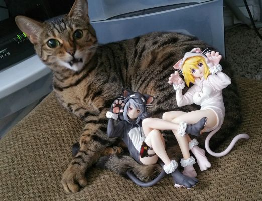 IS〈Infinite Stratos〉 夏洛特&拉芙拉 猫耳睡衣