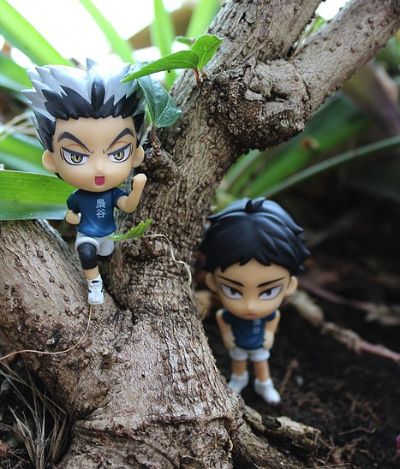 ちびきゅんｷｬﾗ 迷你Q ハイキュー!! ～木兎・赤苇登场!!～ ハイキュー!!&ハイキュー!! セカンドシーズン 木兎光太郎 