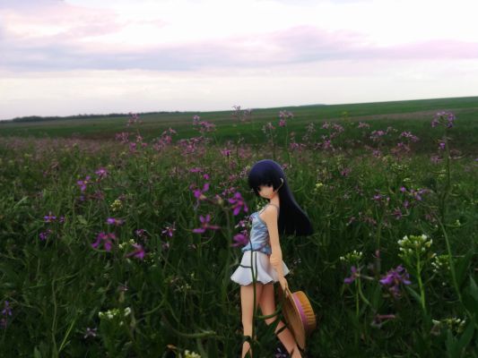 PM 手办 我的妹妹不可能那么可爱 五更瑠璃 Shironeko