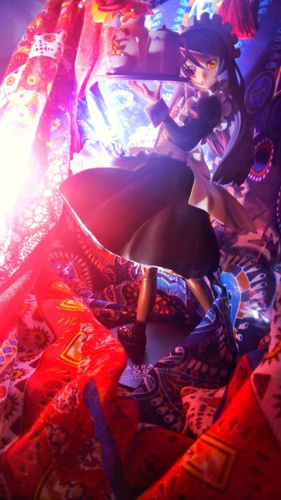 IS〈无限斯特托拉斯〉  拉芙拉·布迪威伊 女仆