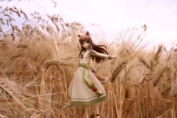 ミチコとハッチン【ぶっとび編】 