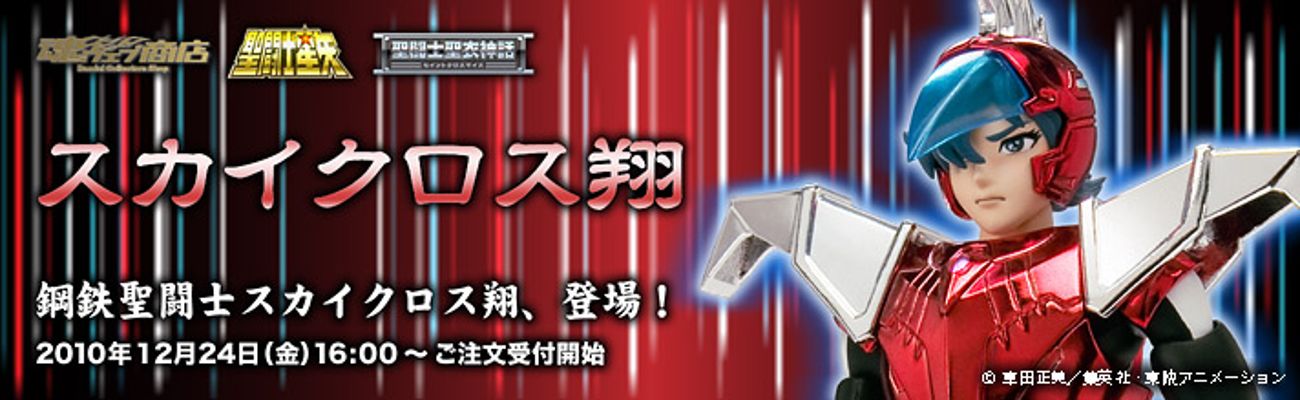 圣闘士圣衣神话 セイントクロスマイス 圣闘士星矢 スカイ翔 Steel Cloth 