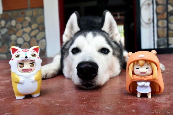 黏土人もあ 刀剣乱舞-ONLINE- こんのすけ 