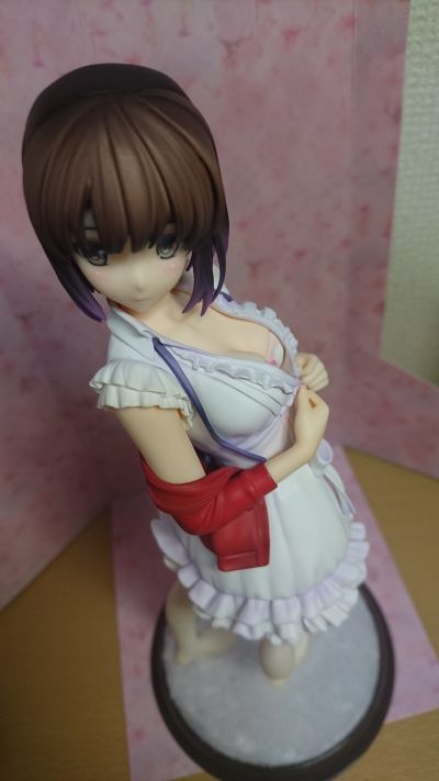 路人女主的养成方法 加藤恵