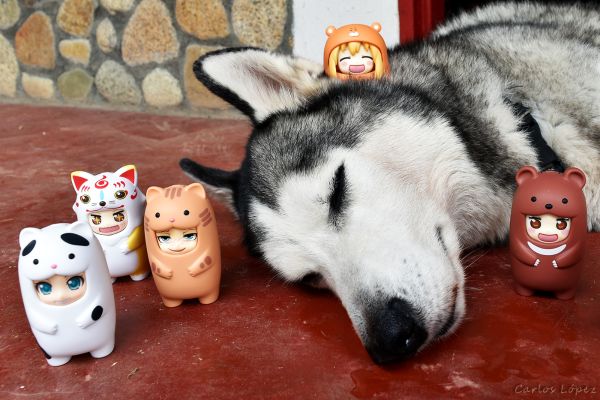 黏土人More 斑点猫