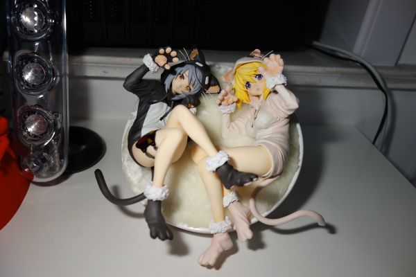 IS〈Infinite Stratos〉 夏洛特&拉芙拉 猫耳睡衣