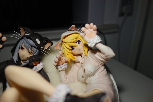 IS〈Infinite Stratos〉 夏洛特&拉芙拉 猫耳睡衣