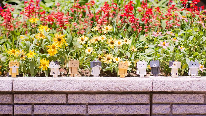 ニャンボー figure collection よつばと! 阿楞 Calico(brown) 