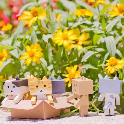 ニャンボー figure collection よつばと! 阿楞 Tabby(bicolor)  