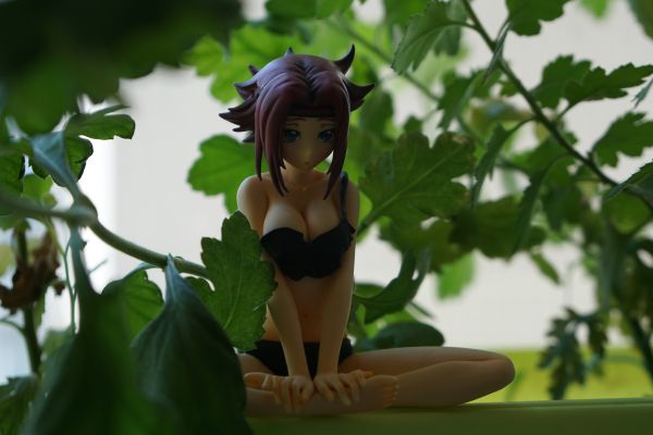 DX组立式手办 CODE GEASS 叛逆的鲁鲁修 R2 红月卡莲