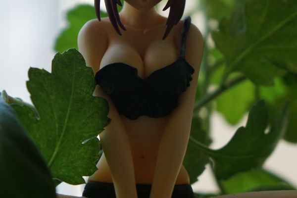 DX组立式手办 CODE GEASS 叛逆的鲁鲁修 R2 红月卡莲