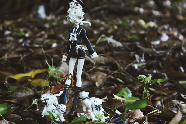 刀剑乱舞-ONLINE- 五虎退