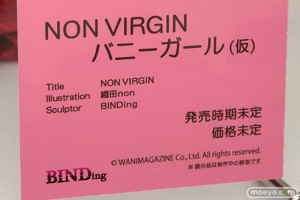 Non Virgin 兔女郎 村主宏美