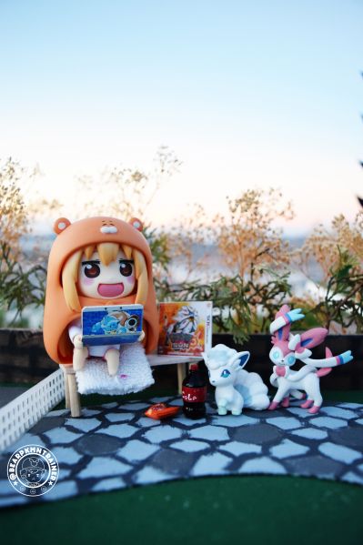 モンコレEx 口袋妖怪サン&ムーン ロコン ア罗拉のすがた 