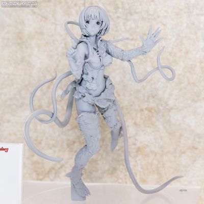 希德尼亚的骑士 胞衣星白