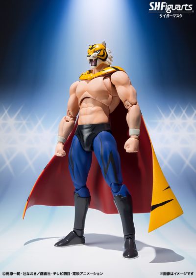 S.H.Figuarts  虎面人