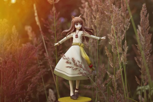 狼与香辛料 赫萝 新装版