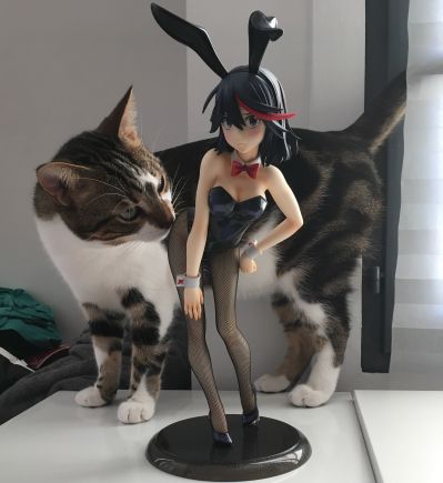 B-style  斩服少女 缠流子 兔女郎