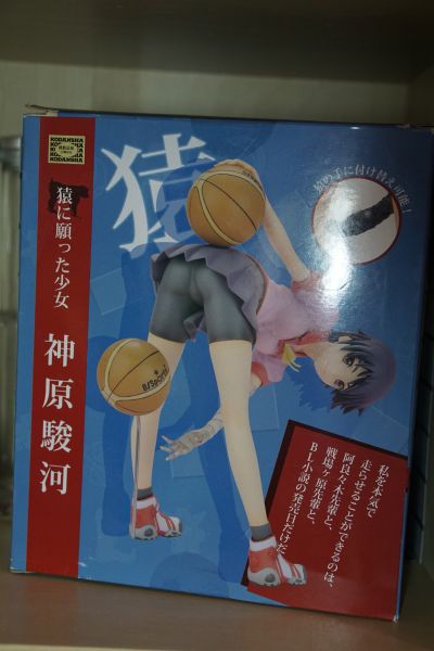 神原骏河