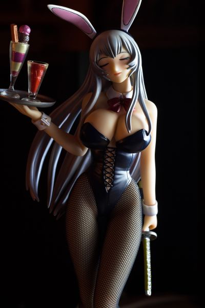 赵云子龙 兔女郎版