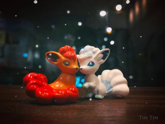 モンコレEx 口袋妖怪サン&ムーン ロコン ア罗拉のすがた 