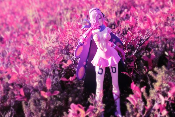 独特魅力 航海王 蕾玖