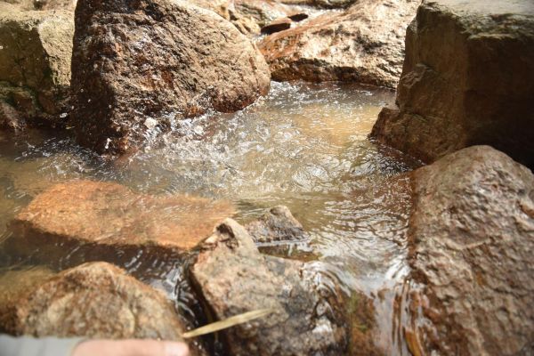 村田蓮爾PSEコレクション PSE PRODUCTS 002“クリス” 通常版