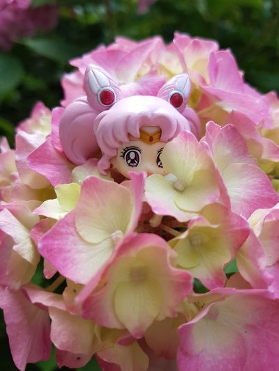 茶友系列 美少女战士 小水兵月