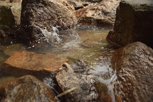 村田蓮爾PSEコレクション PSE PRODUCTS 002“クリス” 通常版