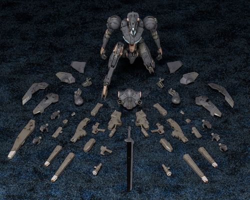 Frame Arms 1/100 影虎