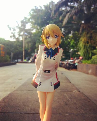 IS〈无限斯特拉托斯〉 夏洛特