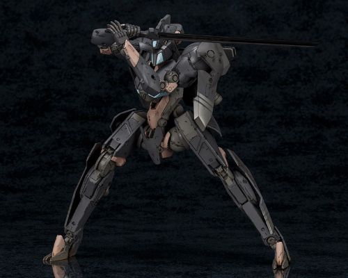 Frame Arms 1/100 影虎