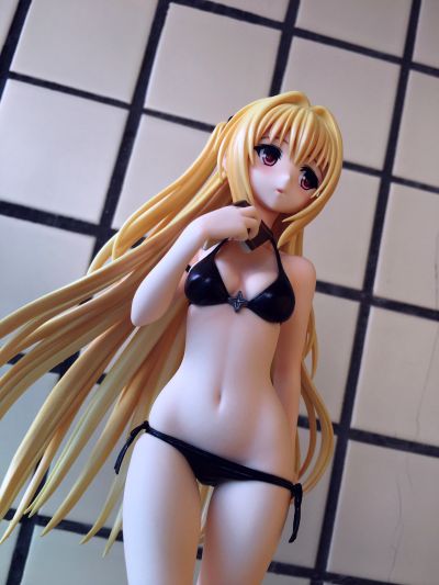 IS〈无限斯特拉托斯〉 夏洛特・迪诺亚 泳装 Ver2