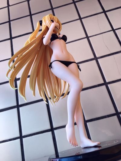 IS〈无限斯特拉托斯〉 夏洛特・迪诺亚 泳装 Ver2