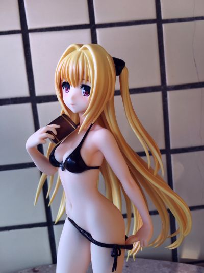 IS〈无限斯特拉托斯〉 夏洛特・迪诺亚 泳装 Ver2