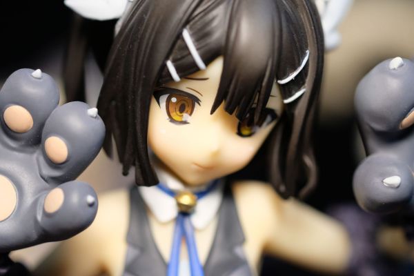 Fate/kaleid liner 魔法少女☆伊莉雅  伊莉雅 野兽style