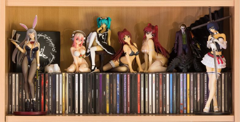 赵云子龙 兔女郎版