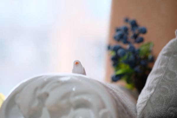 粘土人 #627 红壳的潘多拉 克拉琳欧&布耶尔