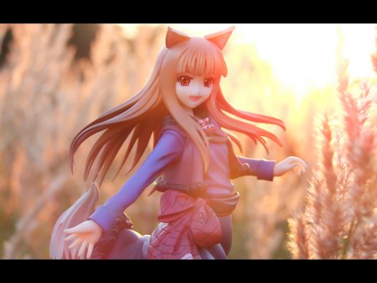 狼与香辛料 赫萝