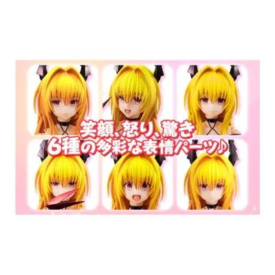Variable Action Heroes DX 金色暗影