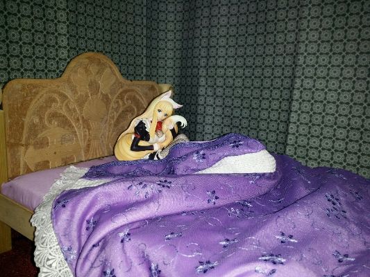 王女殿下的料理番 萝娜