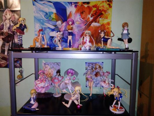 Fate/hollow ataraxia  伊莉雅 泳装