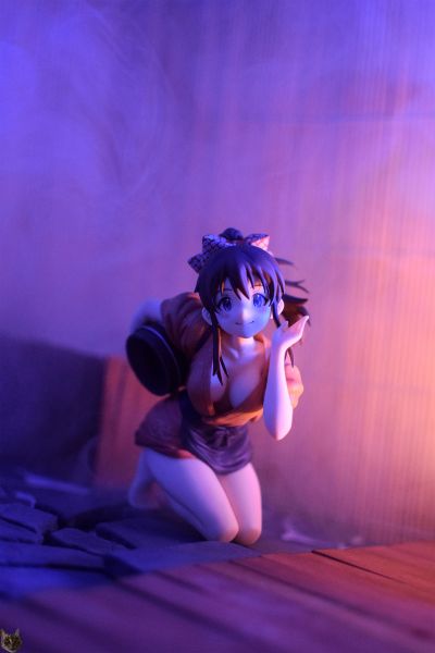 偶像大师 MILLION LIVE!  佐竹美奈子 温暖的服务Ver.